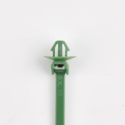P01G